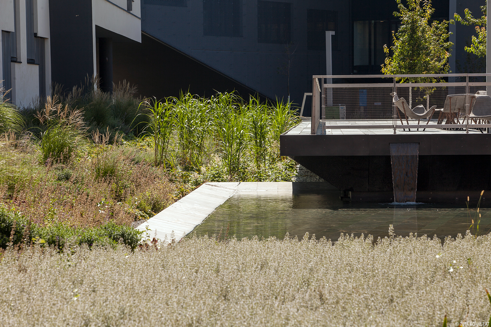 Campus WU, Pflanzen und Wasserbecken (c) BOAnet